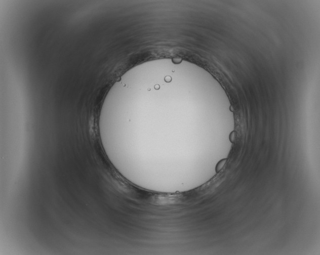 X0000112360134200908131242