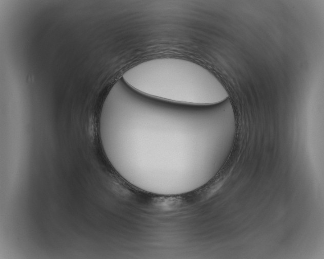 X0000112360135200908131242