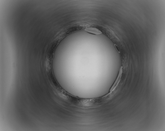 X0000112360136200908131242