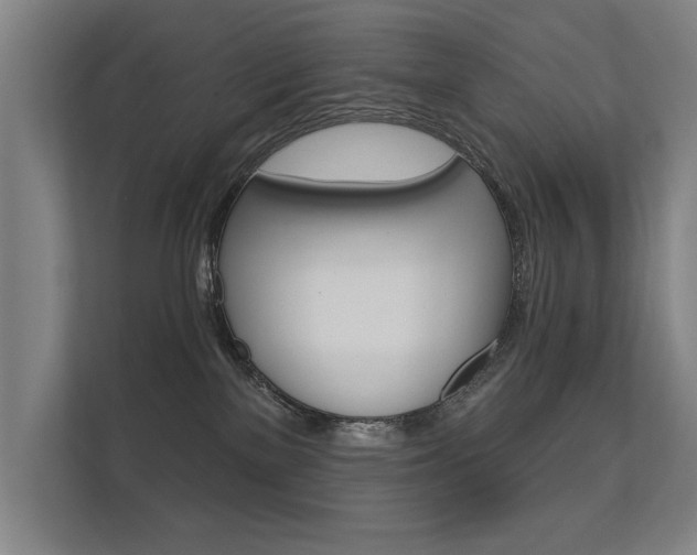X0000112360137200908131242