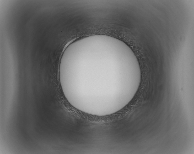 X0000112360144200908131242