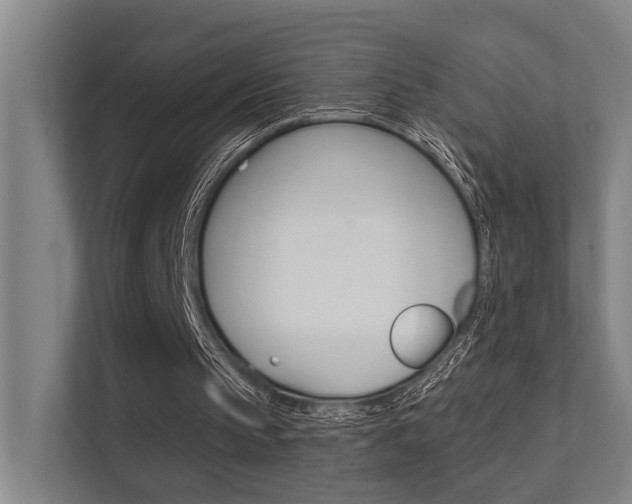 X0000112360145200908131241