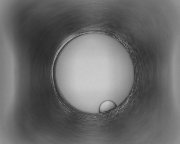 X0000112360148200908131241