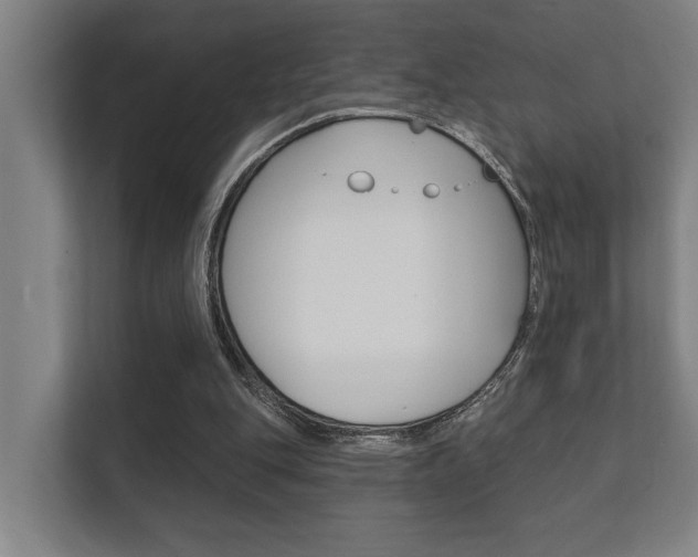 X0000112360151200908131241
