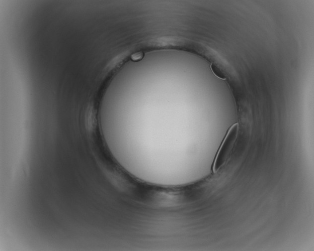 X0000112360164200908131241