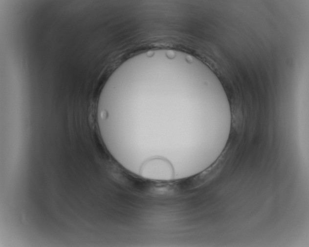 X0000112360175200908131241