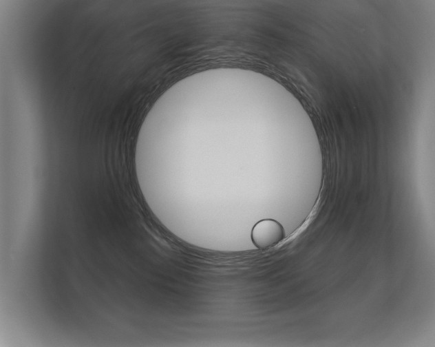 X0000112360186200908131242
