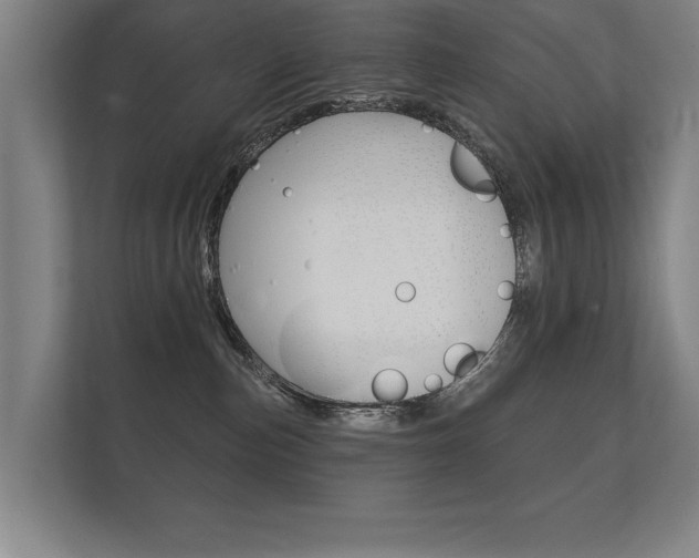 X0000112360187200908131242