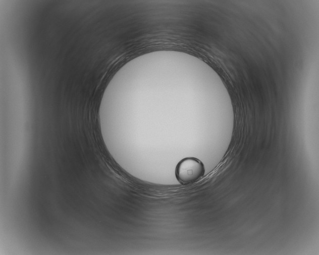 X0000112360188200908131242