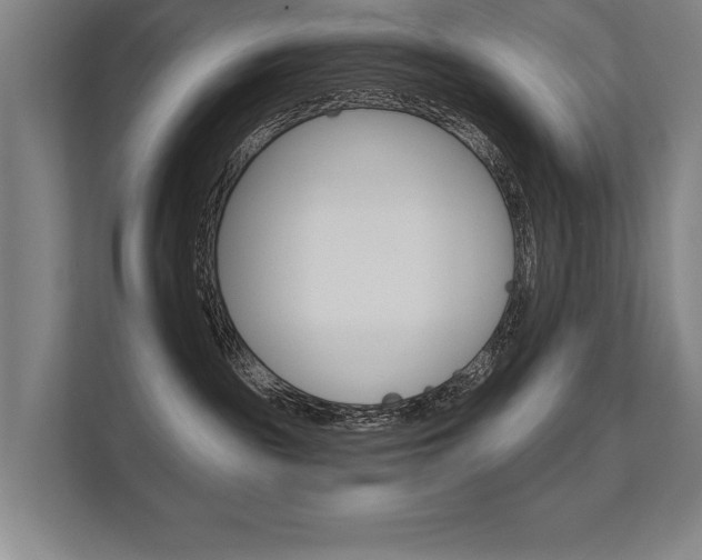 X0000112360189200908131242