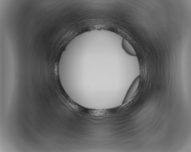 X0000112360191200908131242