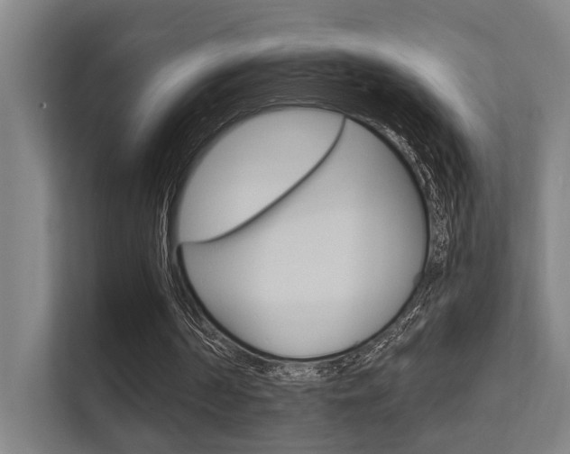 X0000112360194200908131241