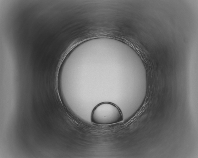 X0000112360195200908131241