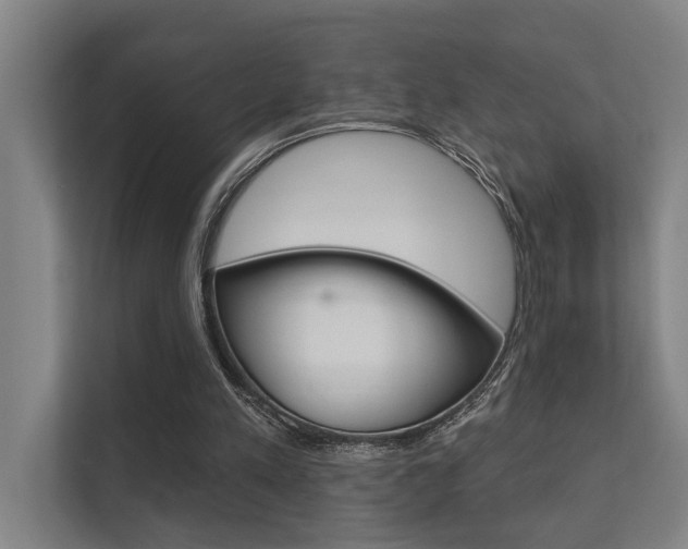 X0000112360197200908131241
