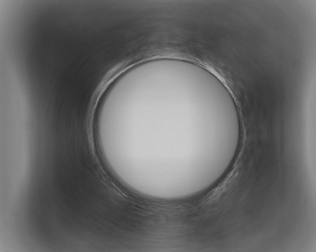 X0000112360199200908131241