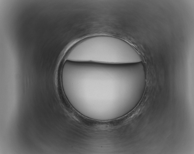 X0000112360200200908131241
