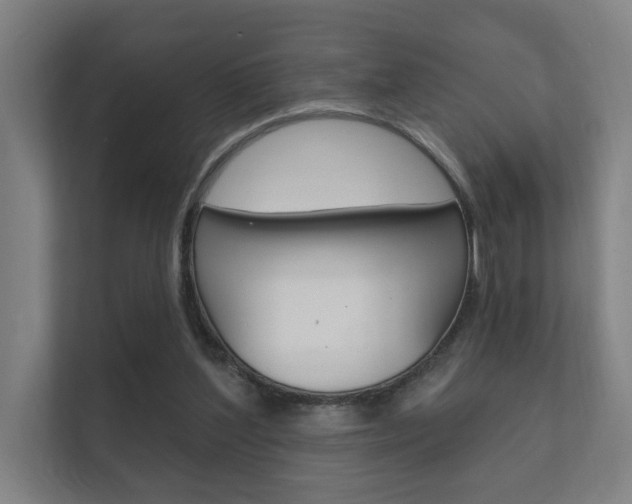 X0000112360204200908131241