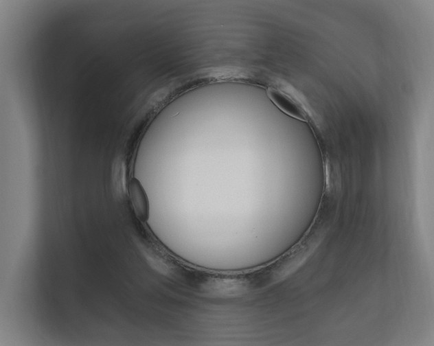 X0000112360205200908131241