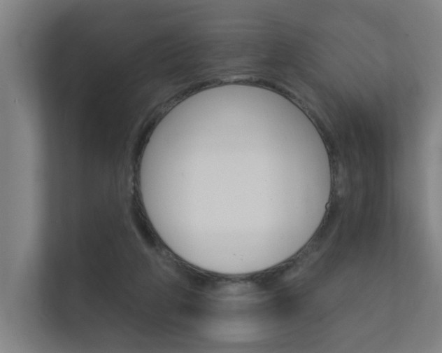 X0000112360210200908131241