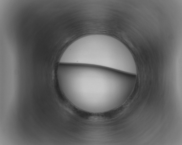 X0000112360211200908131241