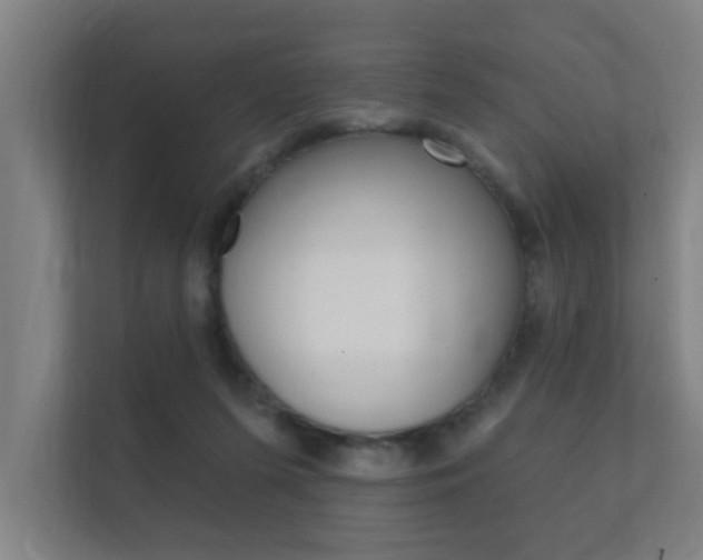 X0000112360215200908131241