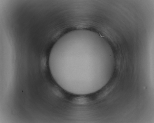 X0000112360219200908131241