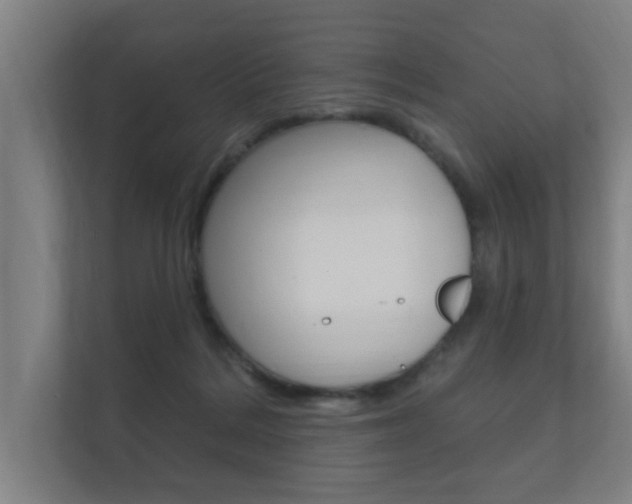 X0000112360220200908131241