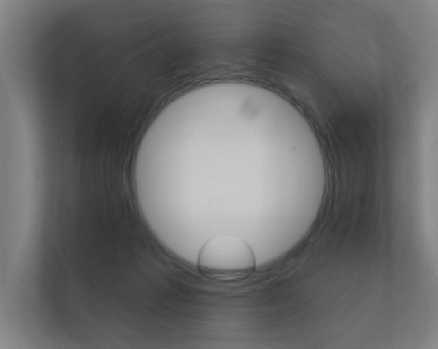 X0000112360221200908131241