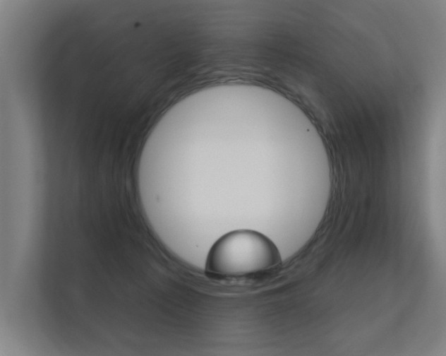 X0000112360225200908131241