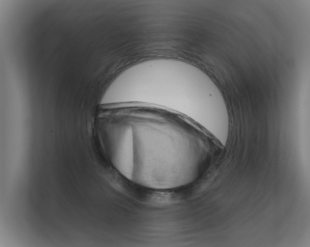 X0000112360227200908131241