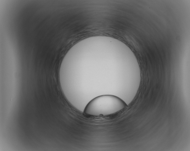 X0000112360229200908131241