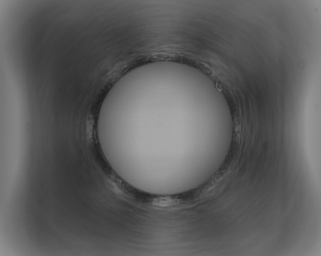 X0000112360231200908131241