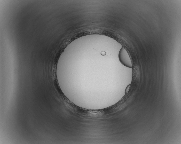 X0000112360234200908131240