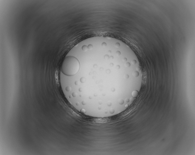 X0000112360238200908131240