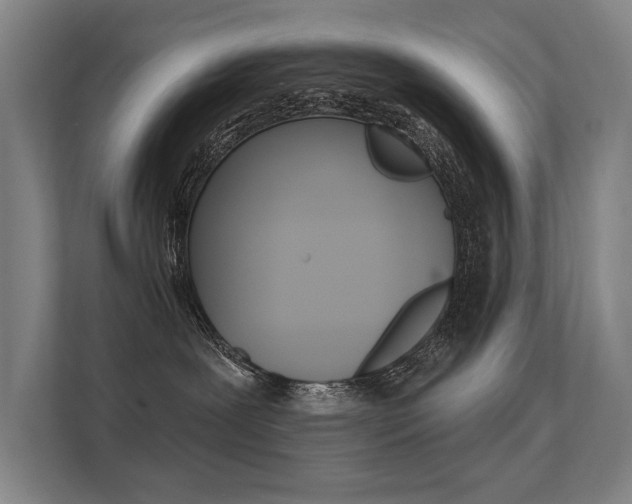 X0000112360239200908131240