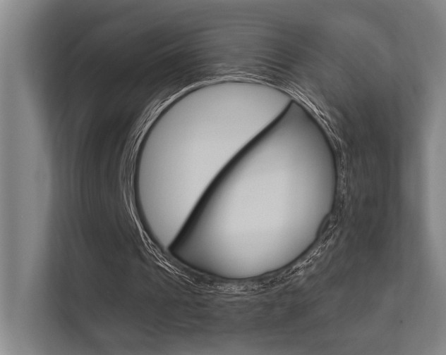 X0000112360241200908131240