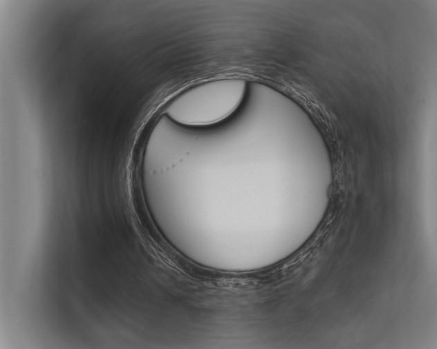 X0000112360242200908131240