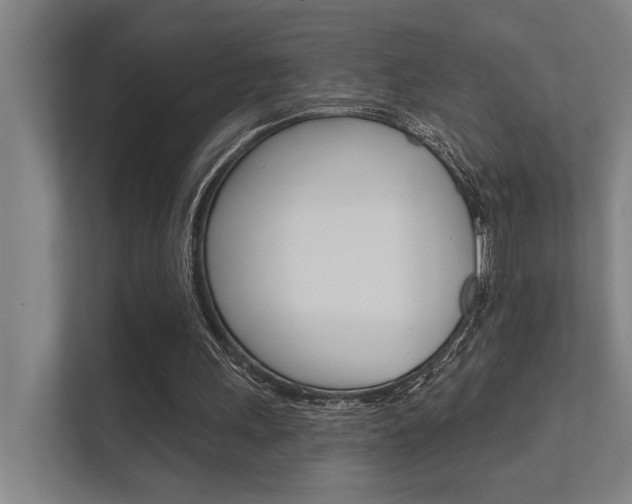 X0000112360243200908131240