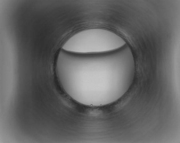 X0000112360258200908131240