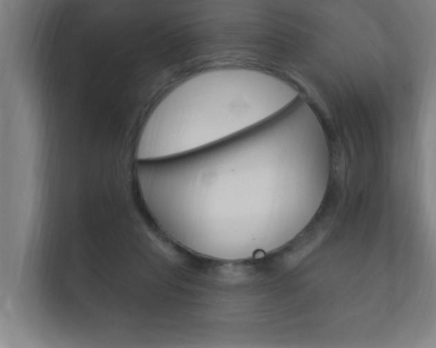X0000112360261200908131240