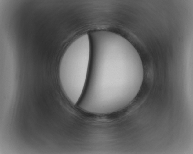 X0000112360262200908131240
