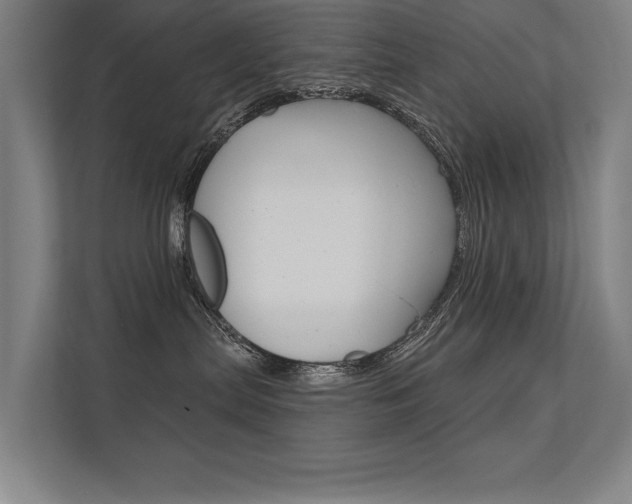 X0000112360287200908131240