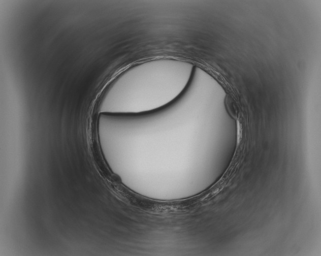 X0000112360291200908131240