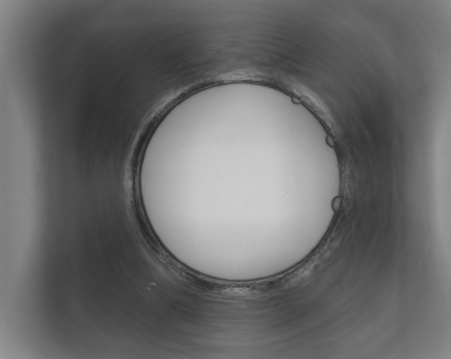 X0000112360298200908131240