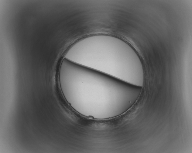 X0000112360299200908131240