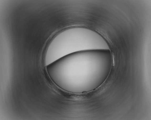 X0000112360300200908131240