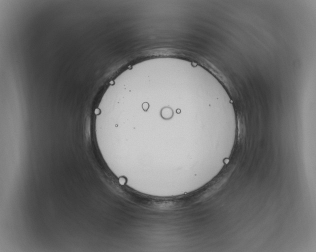 X0000112360301200908131240
