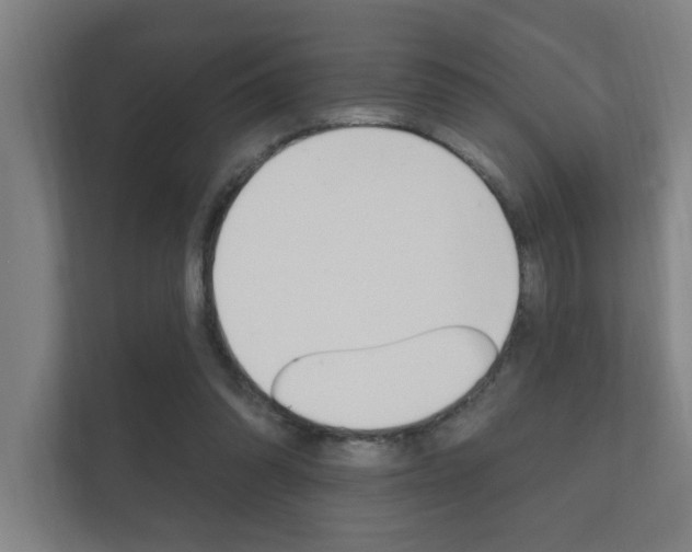 X0000112360302200908131240