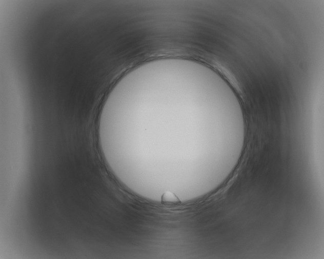 X0000112360305200908131240
