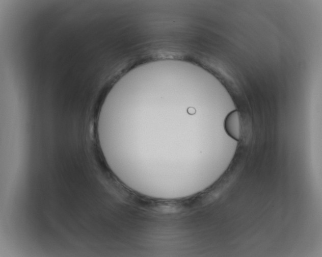 X0000112360310200908131239